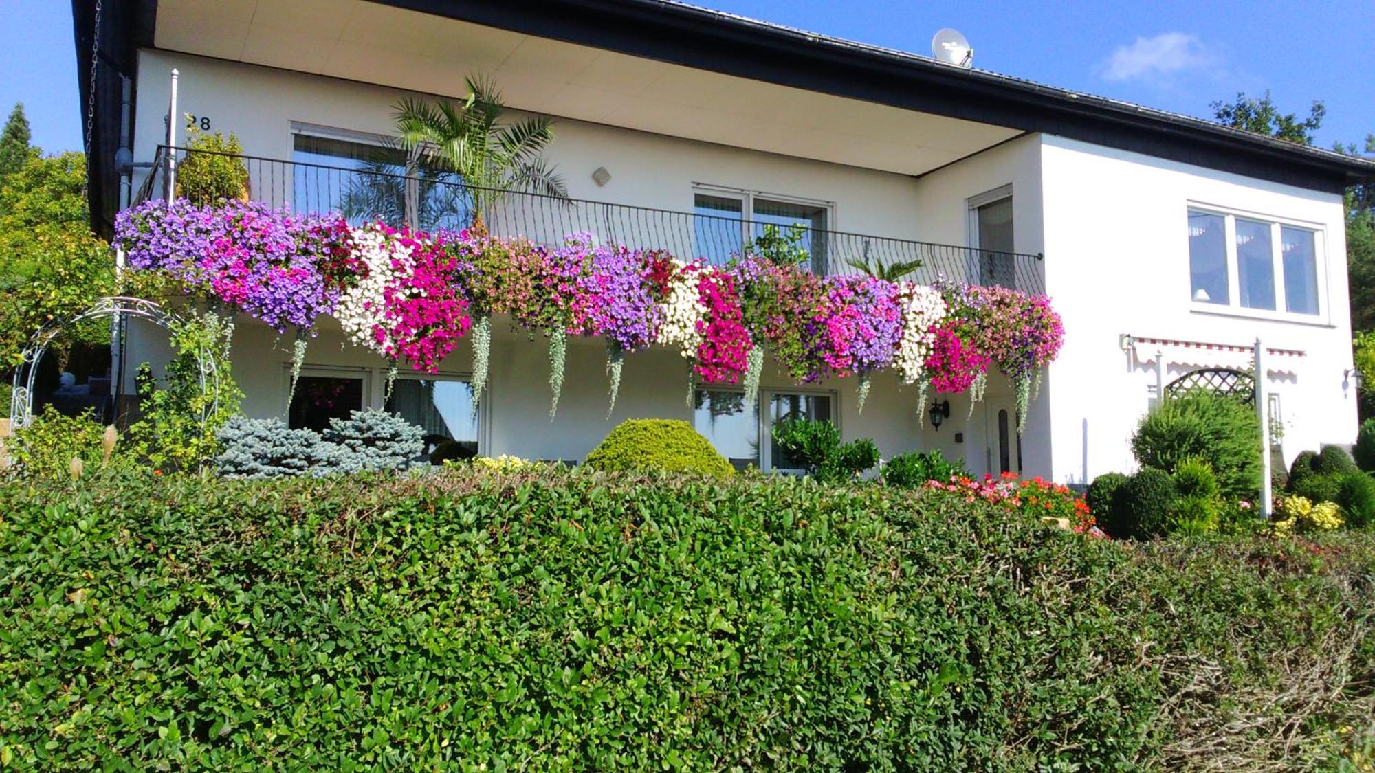 Haus Alexandra Apartment Schoneberg  ภายนอก รูปภาพ