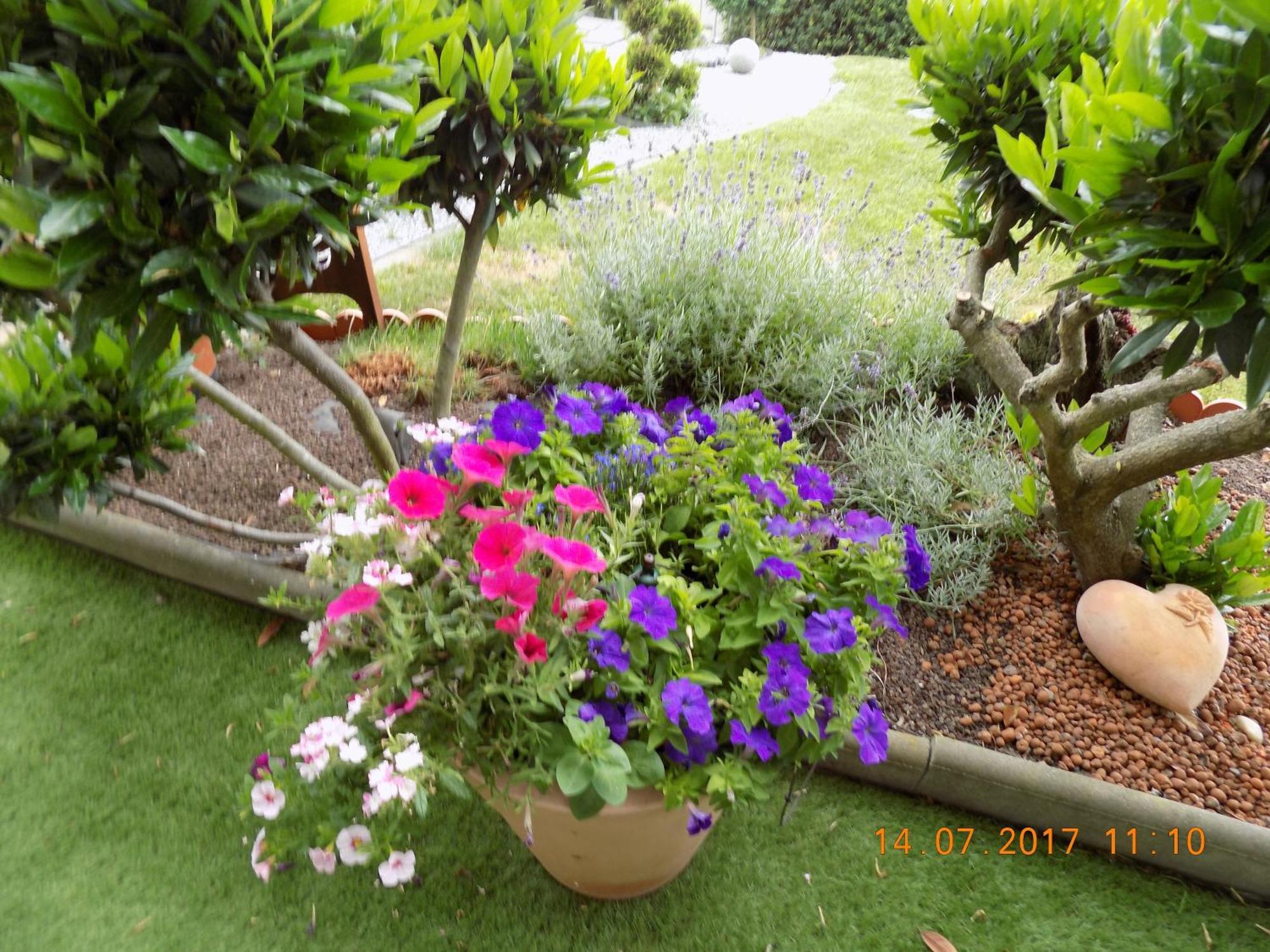 Haus Alexandra Apartment Schoneberg  ภายนอก รูปภาพ
