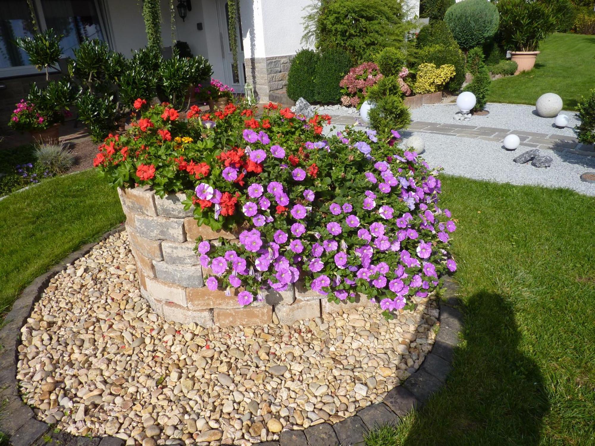 Haus Alexandra Apartment Schoneberg  ภายนอก รูปภาพ